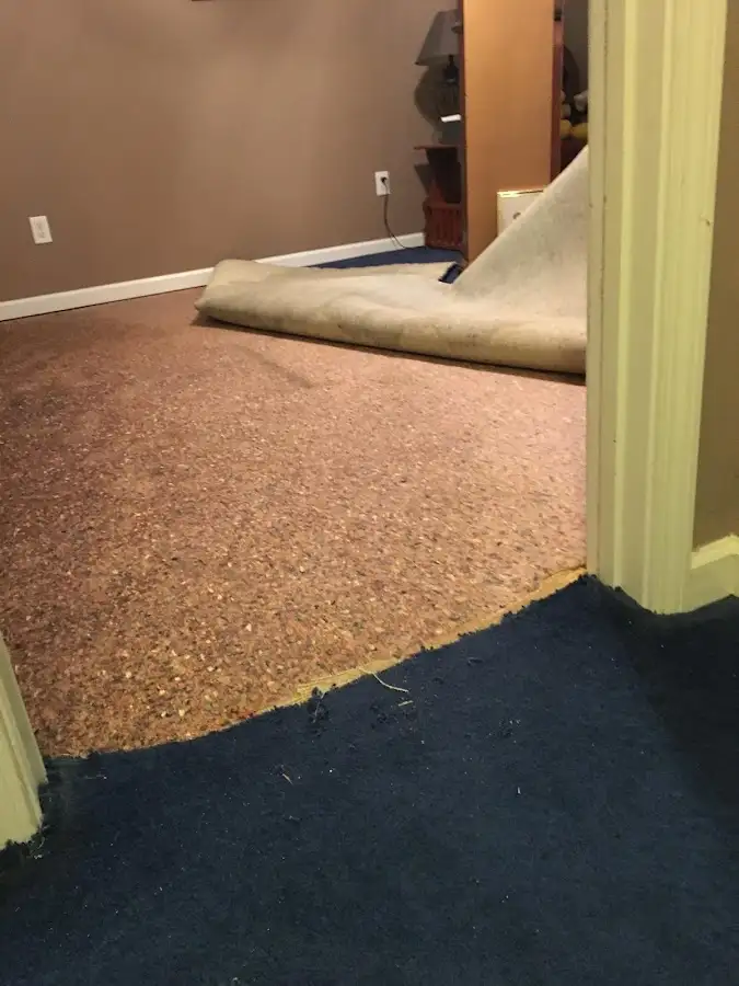 Carpet pad removal revealing water damage during Water Mitigation Services in North Druid Hills