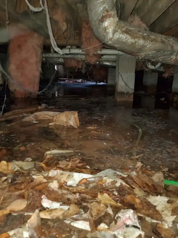 Crawl space flood assessment for Leak Detection & Repair in North Druid Hills